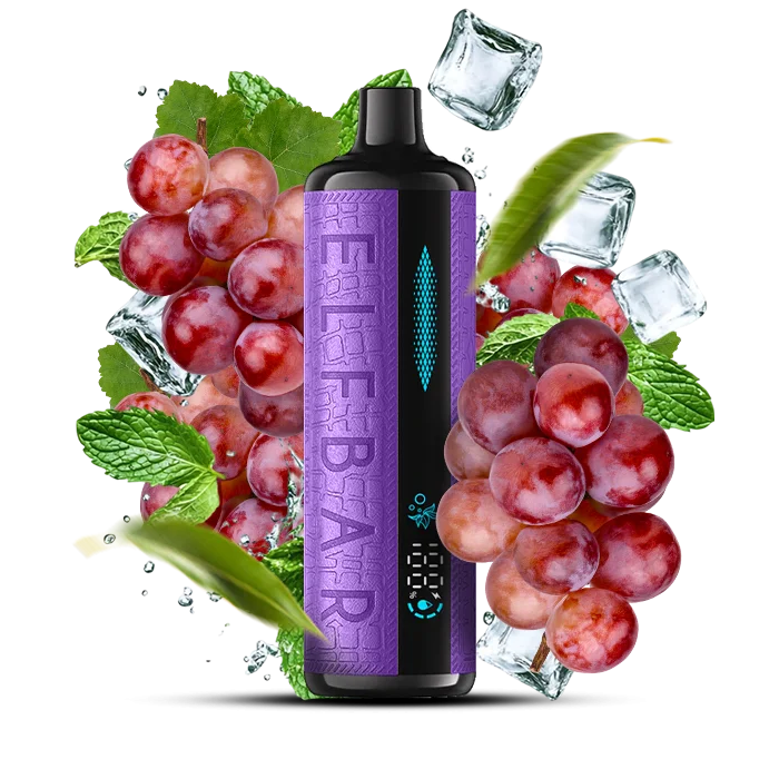 elfbar elfa master akku ELF BOX Digital 12000 Puffs Disposable Vape Wholesale – Vapz Vape Wholesale main image 0