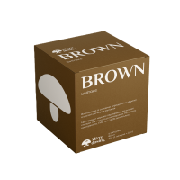 BROWN Шиитаке 60 капсул по 0.4 г