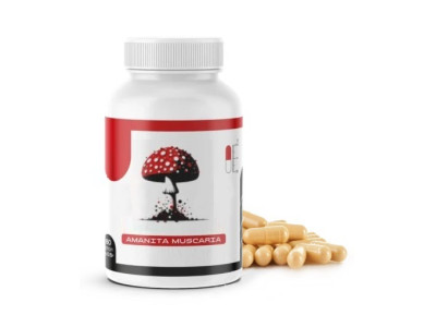 Грибні БАДи