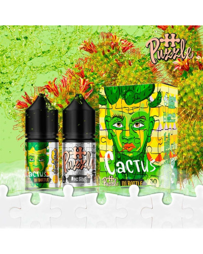 Набір для самозамісу In Bottle Salt Puzzle 30 мл 50 мг "Cactus" зі смаком кактус