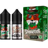 Набор для самозамеса In Bottle Salt Puzzle 30 мл 50 мг "SPEARMINT" со вкусом мяты
