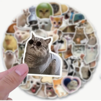 Набор стикеров "Meme Cats" 100 шт