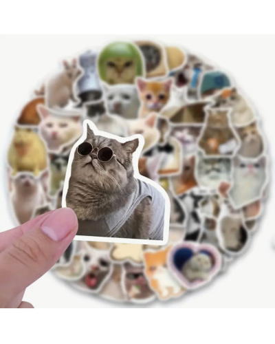 Набор стикеров "Meme Cats" 100 шт