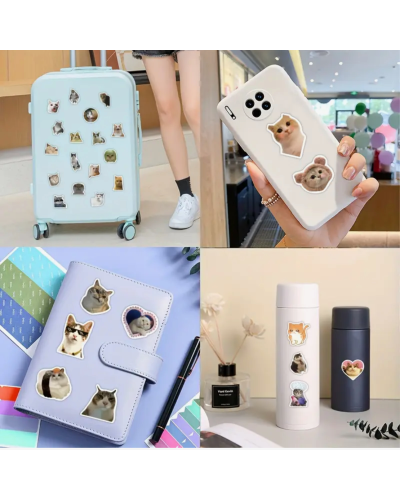 Набор стикеров "Meme Cats" 100 шт