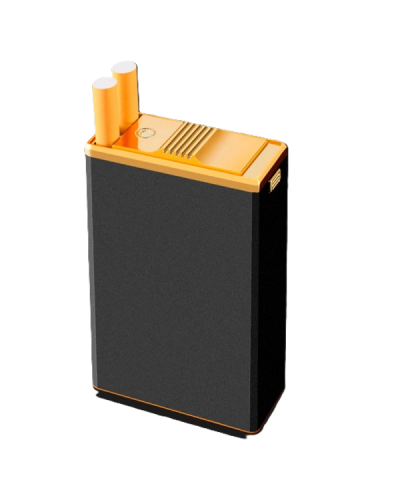 Портсигар-футляр