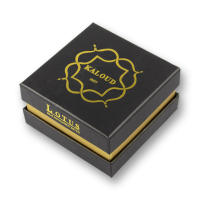 Калауд для кальяну Kaloud Lotus 2 (Сріблястий)