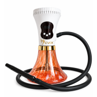 Электронный кальян EVOX WELLBO White с колбой Amber