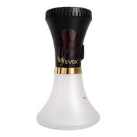 Электронный кальян EVOX WELLBO Black с колбой Matte White