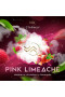 Тютюн для кальяну Starway Black Line 50 гр PINK LIMEACHE (полуниця-малина-грейпфрут-лайм)