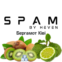 ТЮТЮН ДЛЯ КАЛЬЯНУ SPAM by heven 100 гр  Бергамот Ківі