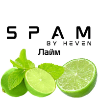 ТЮТЮН ДЛЯ КАЛЬЯНУ SPAM by heven 100 гр Лайм