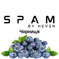 ТЮТЮН ДЛЯ КАЛЬЯНУ SPAM by heven 100 гр Чорниця