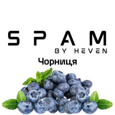 ТЮТЮН ДЛЯ КАЛЬЯНУ SPAM by heven 100 гр Чорниця
