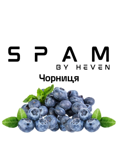 ТЮТЮН ДЛЯ КАЛЬЯНУ SPAM by heven 100 гр Чорниця