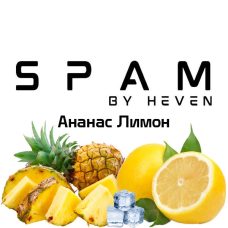 ТЮТЮН ДЛЯ КАЛЬЯНУ SPAM by heven 100 гр  Ананас Лимон