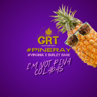 Табак для Кальяна GREAT Medium 100 гр Pineray (Ананас)