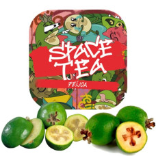 Безтютюнова суміш Space Tea Feijoa (Фейхоа) 40г