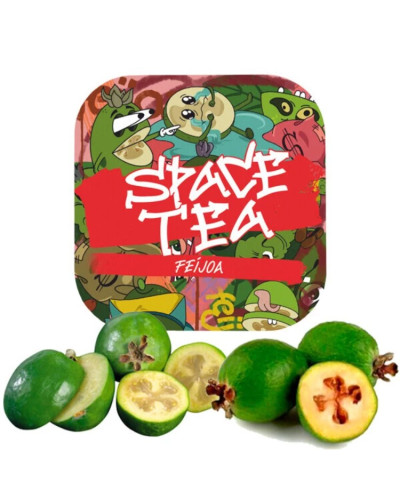 Безтютюнова суміш Space Tea Feijoa (Фейхоа) 40г