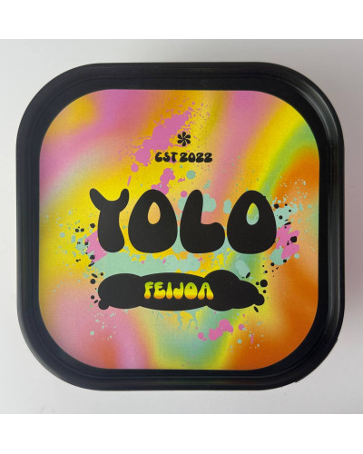 Тютюн Yolo Feijoa (Фейхоа) 250 г