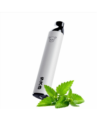 SAB 2500 ЗАТЯЖОК №1 HEISENBERG MINT ЗІ СМАКОМ М'ЯТИ