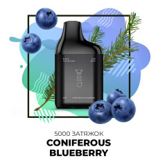Одноразка SAB 5000 затяжок №58 Coniferuos Bluberry зі смаком хвойна чорниця (Протермінований)