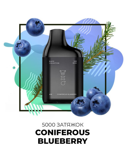 Одноразка SAB 5000 затяжок №58 Coniferuos Bluberry зі смаком хвойна чорниця (Протермінований)