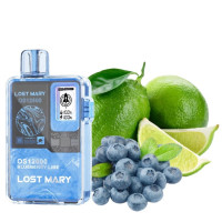Одноразка Lost Mary OS12000 затяжок Blueberry Lime (чорниця лайм)