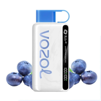 Одноразка Vozol 12000 5% Blueberry storm (чорниця)