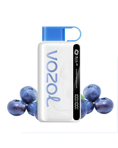 Одноразка Vozol 12000 5% Blueberry storm (черника)