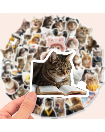 Набір стікерів "Funny Cats" 50 шт
