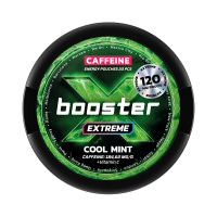 Кофеїновий снюс X BOOSTER Extreme 120мг Cool Mint (М'ята) 20шт