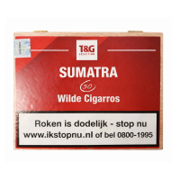 Сигари T&G Selection Sumatra Wilde Cigarros (50шт)